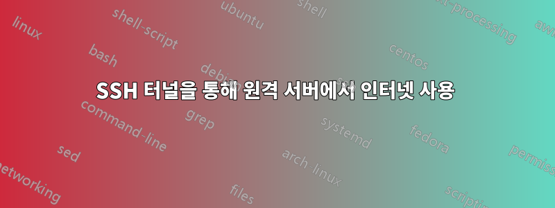 SSH 터널을 통해 원격 서버에서 인터넷 사용