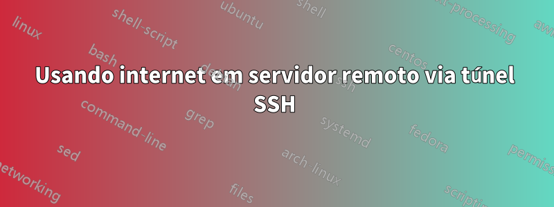 Usando internet em servidor remoto via túnel SSH