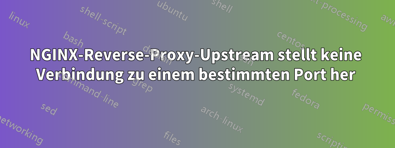 NGINX-Reverse-Proxy-Upstream stellt keine Verbindung zu einem bestimmten Port her