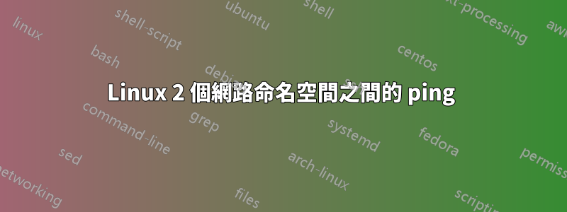 Linux 2 個網路命名空間之間的 ping