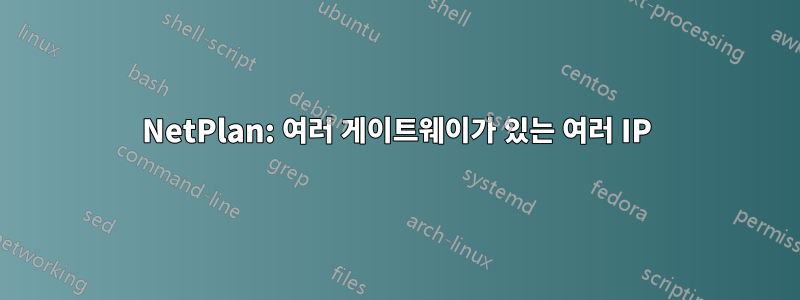 NetPlan: 여러 게이트웨이가 있는 여러 IP