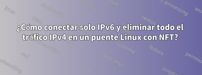 ¿Cómo conectar solo IPv6 y eliminar todo el tráfico IPv4 en un puente Linux con NFT?