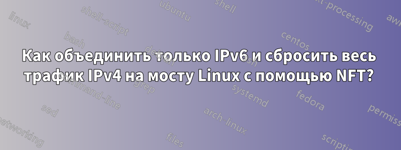 Как объединить только IPv6 и сбросить весь трафик IPv4 на мосту Linux с помощью NFT?