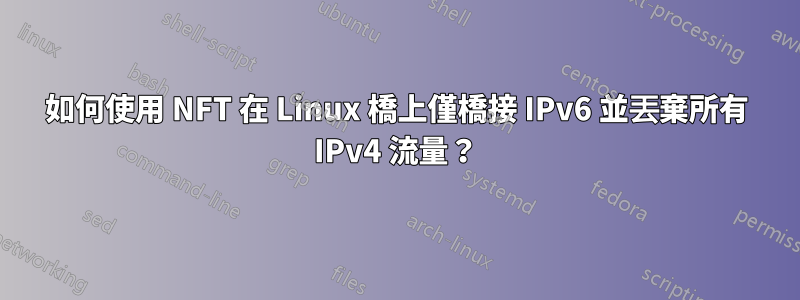 如何使用 NFT 在 Linux 橋上僅橋接 IPv6 並丟棄所有 IPv4 流量？