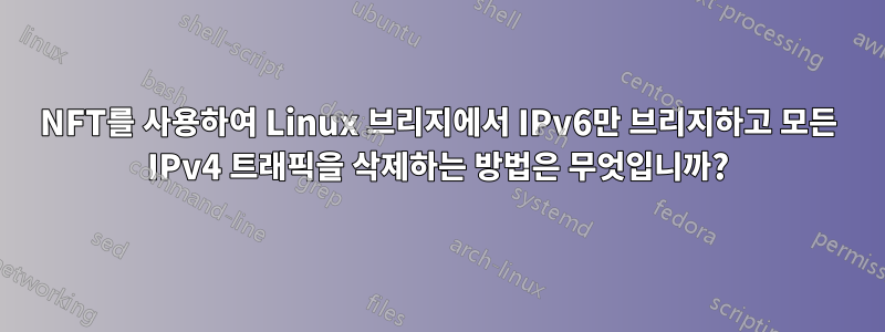 NFT를 사용하여 Linux 브리지에서 IPv6만 브리지하고 모든 IPv4 트래픽을 삭제하는 방법은 무엇입니까?