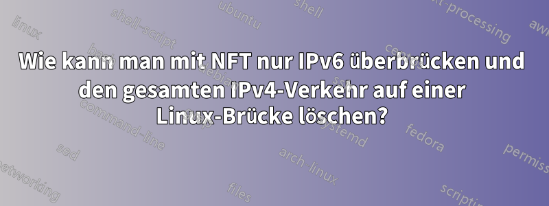 Wie kann man mit NFT nur IPv6 überbrücken und den gesamten IPv4-Verkehr auf einer Linux-Brücke löschen?