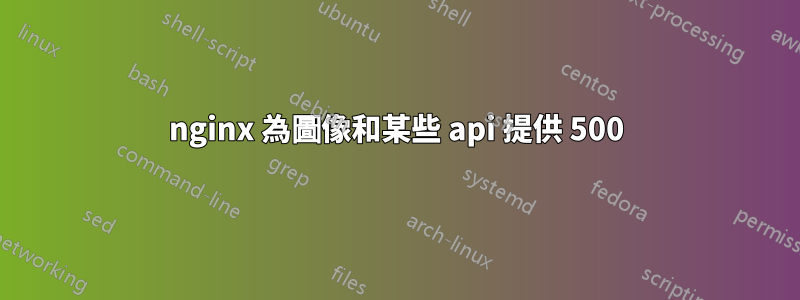 nginx 為圖像和某些 api 提供 500