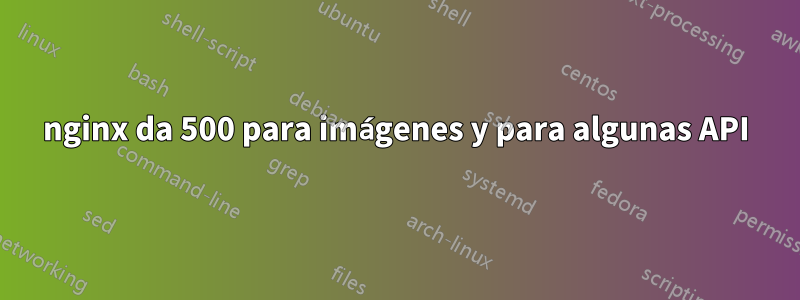 nginx da 500 para imágenes y para algunas API