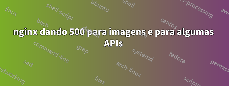 nginx dando 500 para imagens e para algumas APIs