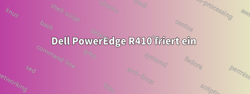 Dell PowerEdge R410 friert ein