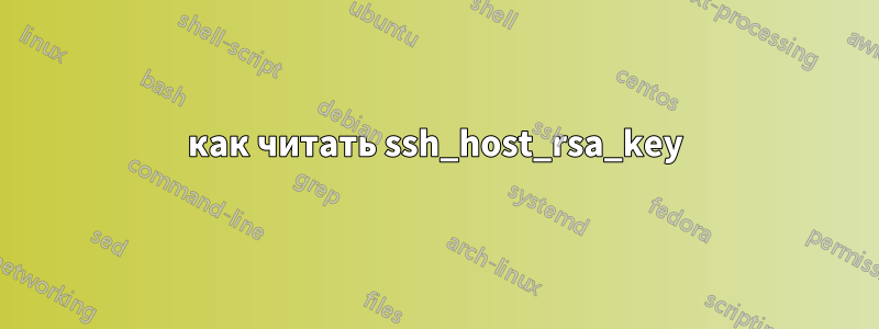 как читать ssh_host_rsa_key