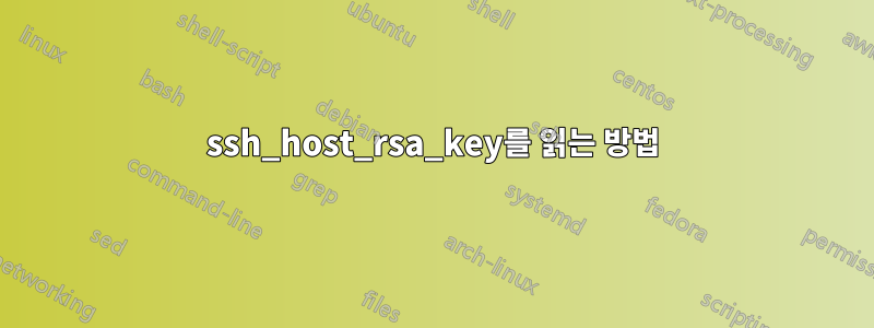 ssh_host_rsa_key를 읽는 방법