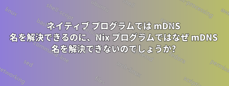 ネイティブ プログラムでは mDNS 名を解決できるのに、Nix プログラムではなぜ mDNS 名を解決できないのでしょうか?