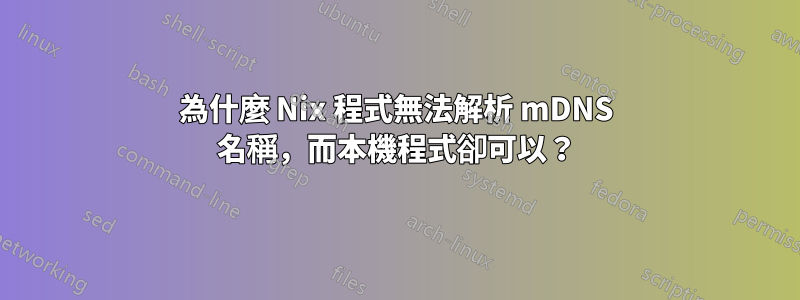 為什麼 Nix 程式無法解析 mDNS 名稱，而本機程式卻可以？