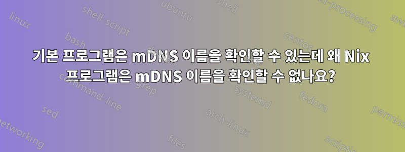 기본 프로그램은 mDNS 이름을 확인할 수 있는데 왜 Nix 프로그램은 mDNS 이름을 확인할 수 없나요?