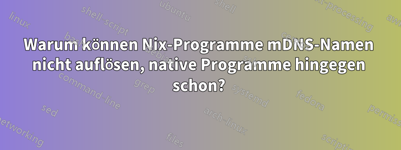 Warum können Nix-Programme mDNS-Namen nicht auflösen, native Programme hingegen schon?