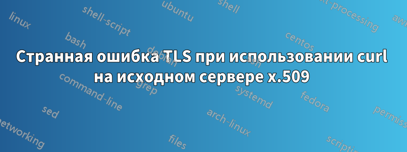 Странная ошибка TLS при использовании curl на исходном сервере x.509