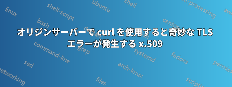 オリジンサーバーで curl を使用すると奇妙な TLS エラーが発生する x.509