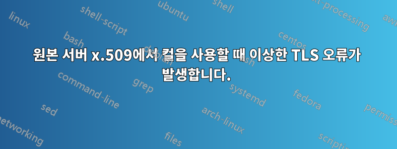 원본 서버 x.509에서 컬을 사용할 때 이상한 TLS 오류가 발생합니다.