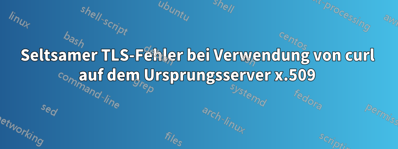 Seltsamer TLS-Fehler bei Verwendung von curl auf dem Ursprungsserver x.509