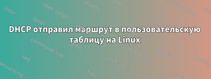 DHCP отправил маршрут в пользовательскую таблицу на Linux