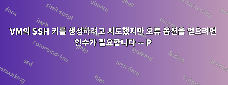 VM의 SSH 키를 생성하려고 시도했지만 오류 옵션을 얻으려면 인수가 필요합니다 -- P