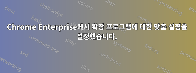 Chrome Enterprise에서 확장 프로그램에 대한 맞춤 설정을 설정했습니다.