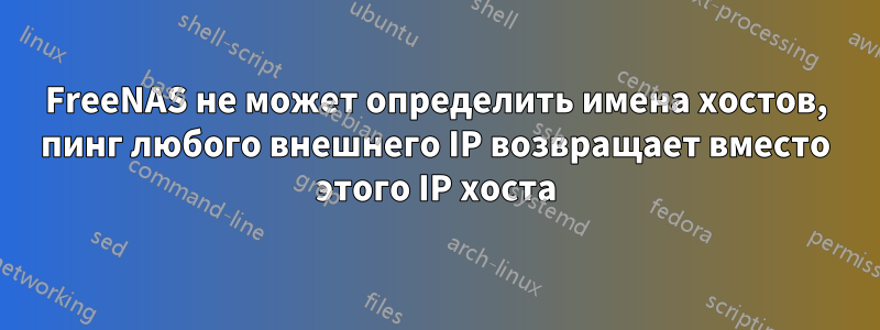 FreeNAS не может определить имена хостов, пинг любого внешнего IP возвращает вместо этого IP хоста