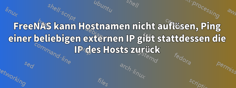 FreeNAS kann Hostnamen nicht auflösen, Ping einer beliebigen externen IP gibt stattdessen die IP des Hosts zurück