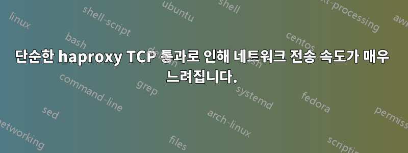 단순한 haproxy TCP 통과로 인해 네트워크 전송 속도가 매우 느려집니다.