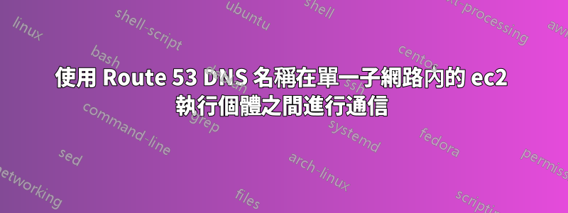 使用 Route 53 DNS 名稱在單一子網路內的 ec2 執行個體之間進行通信