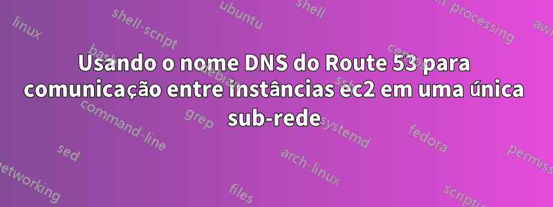 Usando o nome DNS do Route 53 para comunicação entre instâncias ec2 em uma única sub-rede