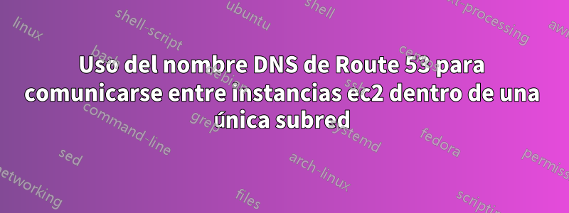 Uso del nombre DNS de Route 53 para comunicarse entre instancias ec2 dentro de una única subred