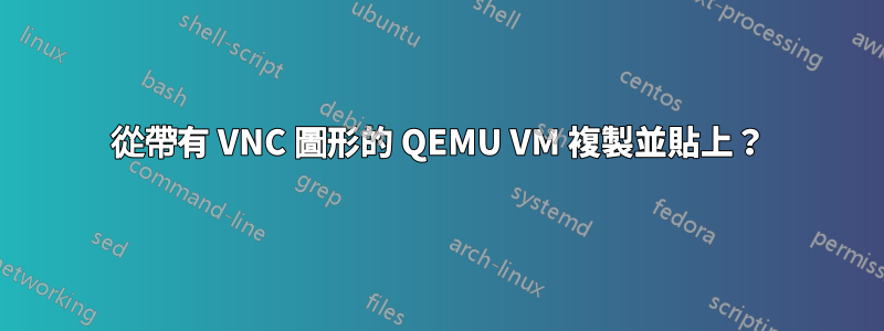 從帶有 VNC 圖形的 QEMU VM 複製並貼上？