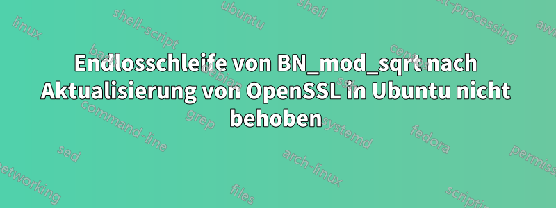 Endlosschleife von BN_mod_sqrt nach Aktualisierung von OpenSSL in Ubuntu nicht behoben