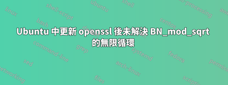 Ubuntu 中更新 openssl 後未解決 BN_mod_sqrt 的無限循環