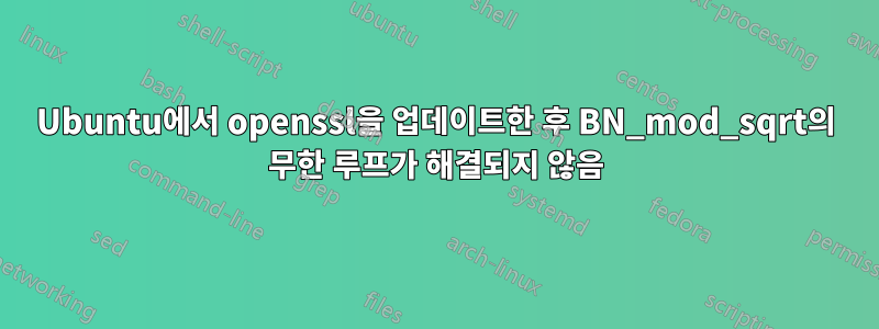 Ubuntu에서 openssl을 업데이트한 후 BN_mod_sqrt의 무한 루프가 해결되지 않음