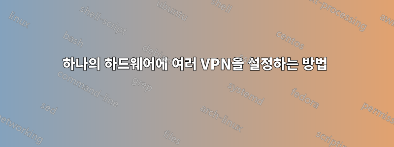 하나의 하드웨어에 여러 VPN을 설정하는 방법