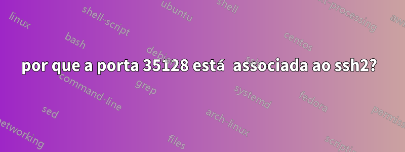 por que a porta 35128 está associada ao ssh2? 