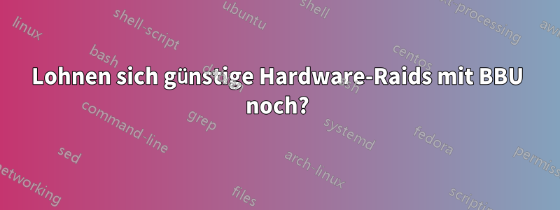 Lohnen sich günstige Hardware-Raids mit BBU noch?