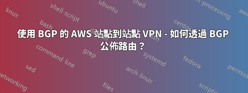 使用 BGP 的 AWS 站點到站點 VPN - 如何透過 BGP 公佈路由？