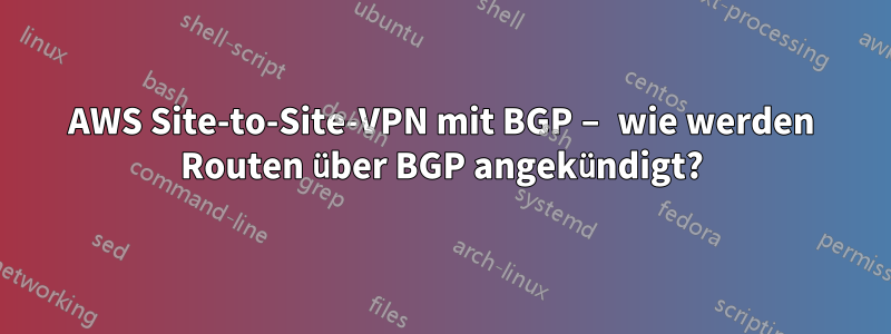 AWS Site-to-Site-VPN mit BGP – wie werden Routen über BGP angekündigt?