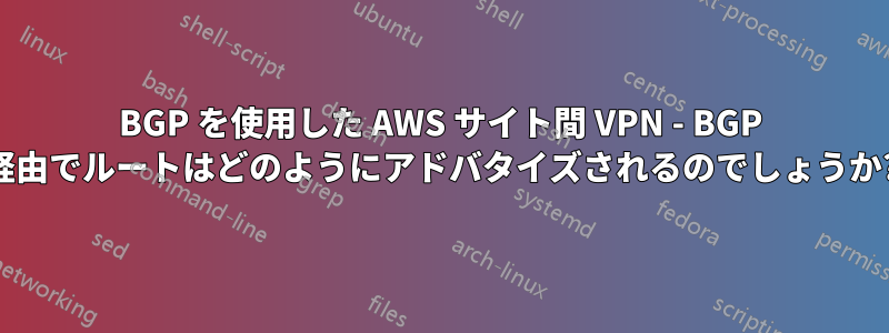 BGP を使用した AWS サイト間 VPN - BGP 経由でルートはどのようにアドバタイズされるのでしょうか?