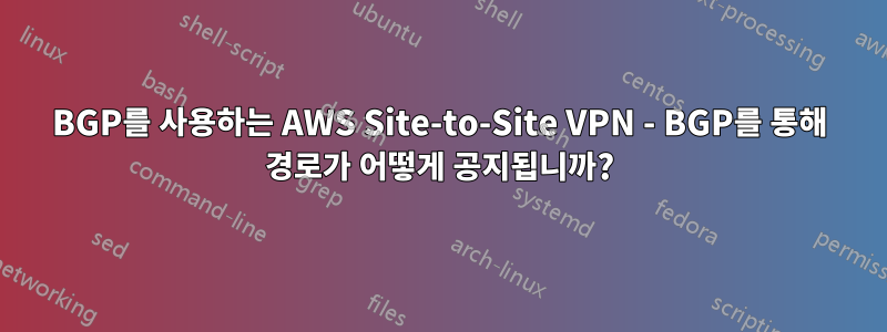 BGP를 사용하는 AWS Site-to-Site VPN - BGP를 통해 경로가 어떻게 공지됩니까?