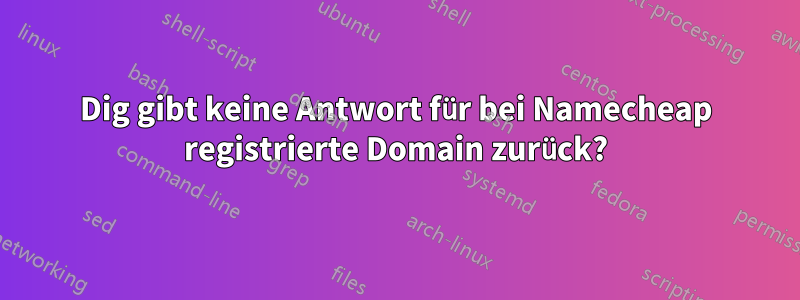 Dig gibt keine Antwort für bei Namecheap registrierte Domain zurück?