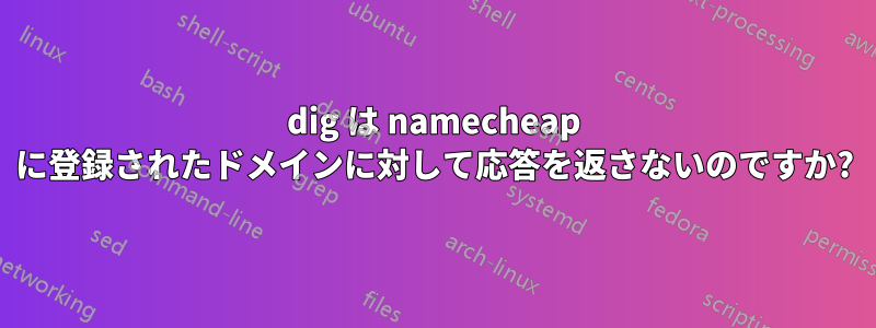 dig は namecheap に登録されたドメインに対して応答を返さないのですか?