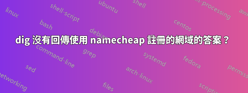 dig 沒有回傳使用 namecheap 註冊的網域的答案？