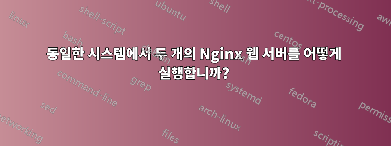 동일한 시스템에서 두 개의 Nginx 웹 서버를 어떻게 실행합니까?