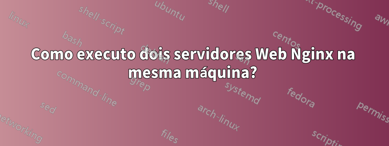 Como executo dois servidores Web Nginx na mesma máquina?