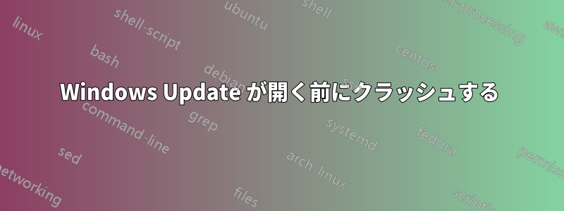 Windows Update が開く前にクラッシュする